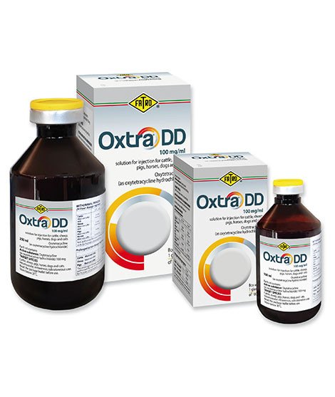 Duggan Veterinary Group Oxtra DD 100 mg/ml Injection