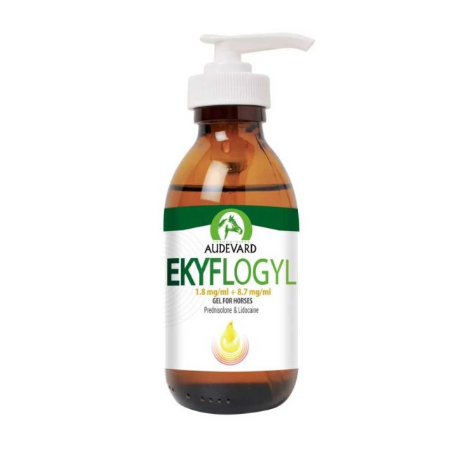 Audevard Ekyflogyl 1.8mg/ml + 8.7mg/ml Gel 125ml