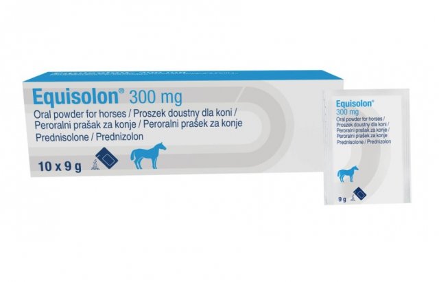 Dechra Equisolon 300mg Oral Powder 9g x 10 pack