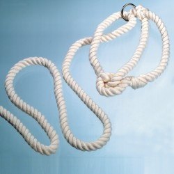 Cotton Cattle Halter with Ring