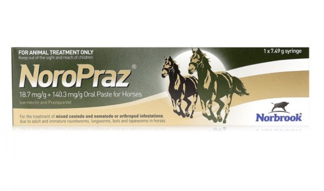 Norbrook Noropraz 18.7 mg/g + 140.3 mg/g Oral Paste
