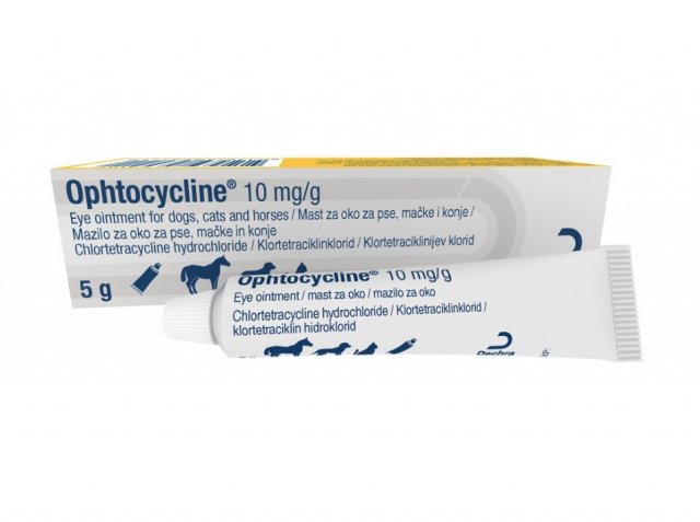 Dechra Ophtocycline 10 mg/g Eye Ointment 5g