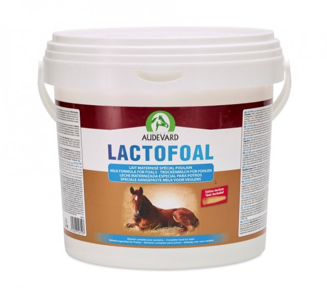 Audevard Audevard Lactofoal