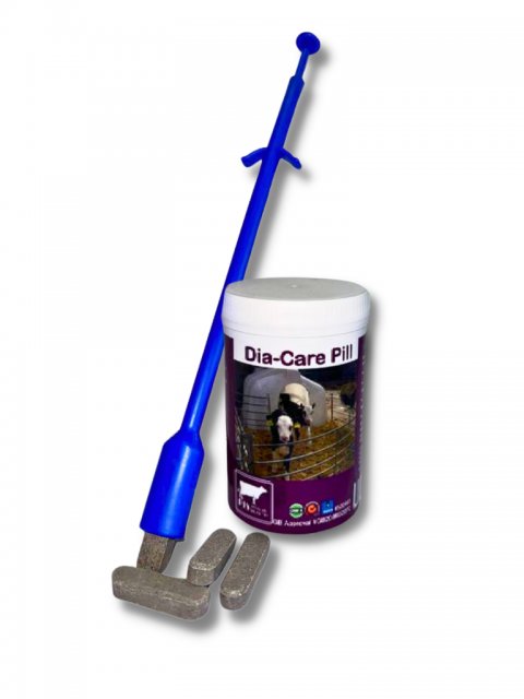 Dia-Care Pill 24 pack plus Applicator