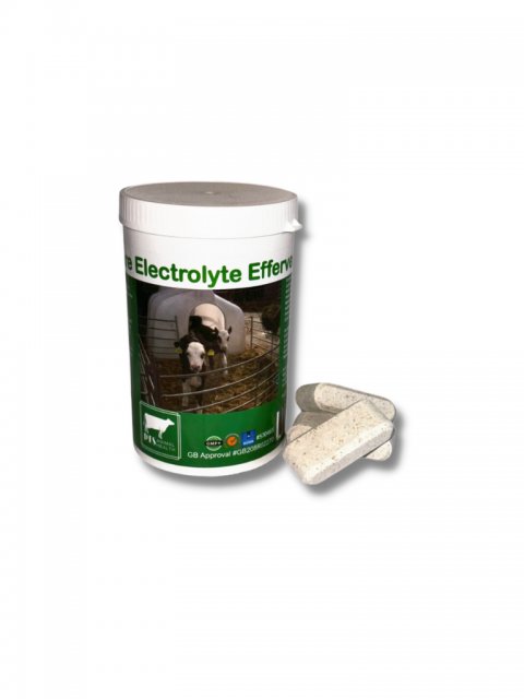 Dia-Care Electrolyte Effervescent Pill 12 pack