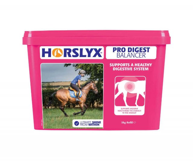 Horslyx Pro Digest Balancer Lick 5kg