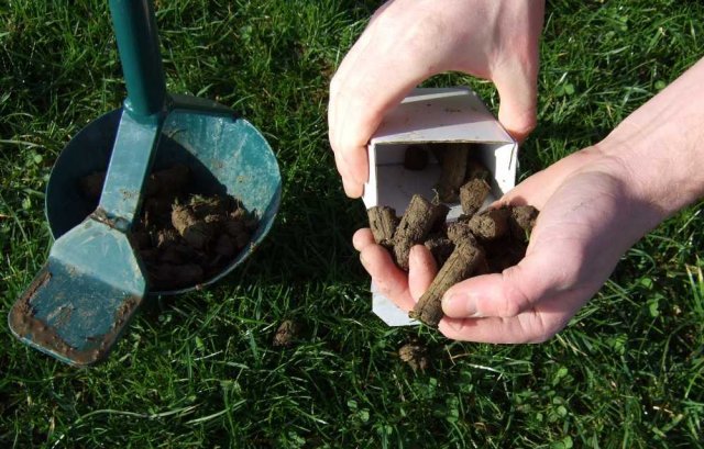 Broad Spectrum Soil Health