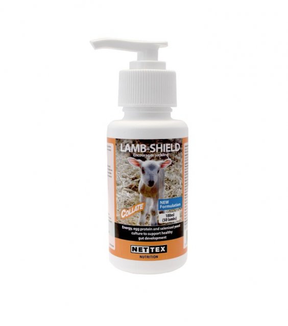 Nettex Lamb Shield 100ml x 6