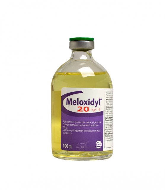 CEVA Meloxidyl 20mg/ml Injection