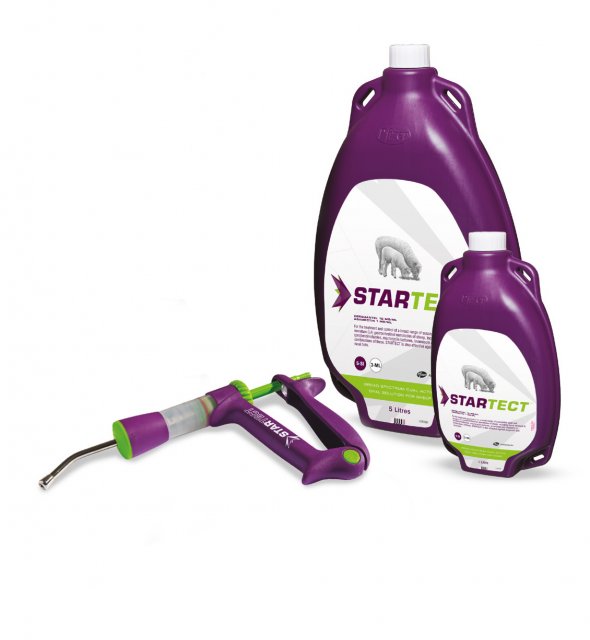 Zoetis Startect Oral Sheep Drench