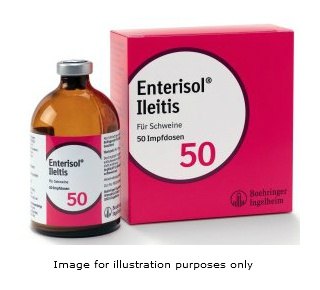 Boehringer Ingelheim Enterisol Iletis 50 dose