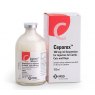 Ceporex Injection 100ml