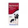 Norfenicol 300 mg/ml Injection