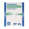 HIPRA Hiprabovis IBR Marker Live