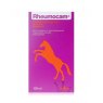 Chanelle Rheumocam 15mg/ml Oral Suspension