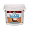 Audevard Audevard Lactofoal