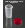 Universal Container with Spoon 30ml