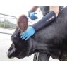 Dry Cuffs Milking Sleeves