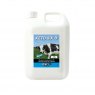 Nettex Keto Gold