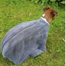 Henry Wag Microfibre Dog Drying Bag