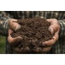 Basic Soil Analysis PLUS Organic Matter