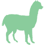 Camelids